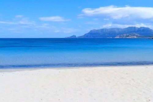 a beach with the ocean and mountains in the background at Dimoras Bellissimo Appartamento Centrocittà in Olbia