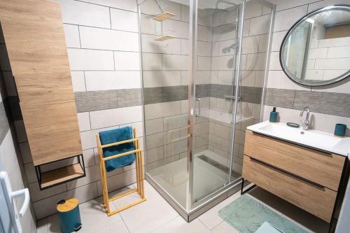 ein Bad mit einer Dusche und einem Waschbecken in der Unterkunft Villa, Lossy in Le Tampon