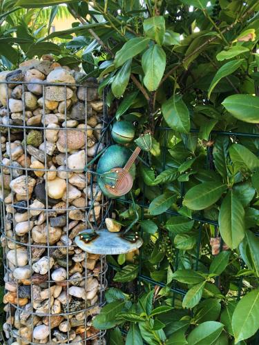 a vertical garden with rocks and a bird cage at Ferienwohnung KWV11EG "Seefrosch im Küstenwald" in Graal-Müritz