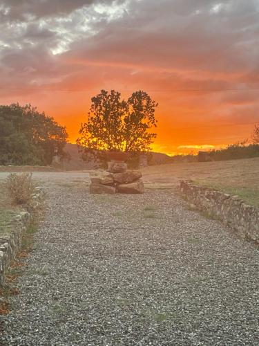 a sunset in a field with a tree in the background at Agriturismo I Poggilunghi in Civitella in Val di Chiana