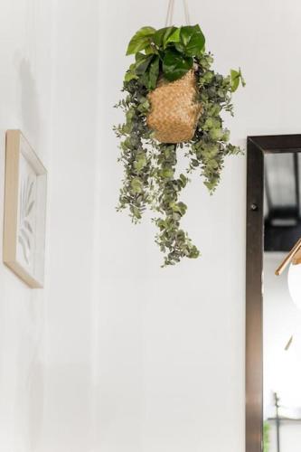 a potted plant hanging on a wall at Gorgeous Studio Suite w/ King size bed in Antipolo