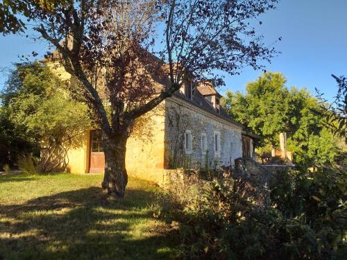 une vieille maison en pierre avec un arbre dans la cour dans l'établissement Domaine du Fraysse L'Ermitage un coin de paradis, à Saint-Cybranet
