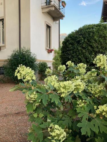 DOMUSETCETERA46 BandB – Photos 5