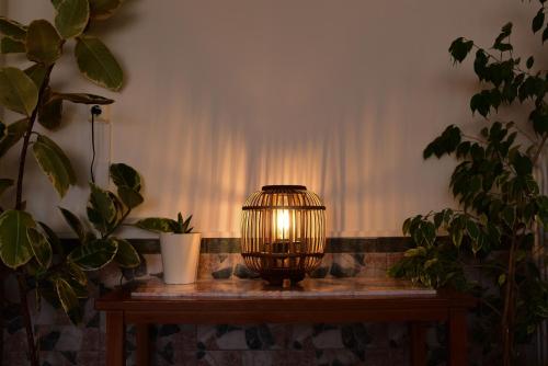 a lamp sitting on a table in a room with plants at Vasilios Marinos Rooms in Korinthos