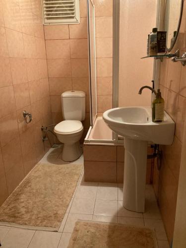 y baño con aseo, lavabo y ducha. en Private Room in Istanbul #106, en Estambul