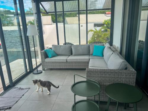a dog walking in a living room with a couch at Villa Mary Guest House in Saint-André