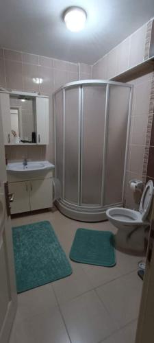 ein Badezimmer mit einer Dusche, einem WC und grünen Matten in der Unterkunft Private Room in Istanbul #108 in Istanbul