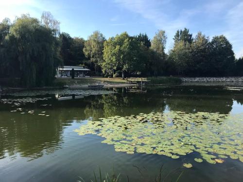 a pond with lily pads on the water at L’Eden de JoLéo : votre cocon d’amour in Perthes