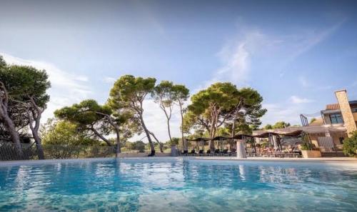 a large swimming pool with blue water and trees at Magnifique Vue CLIM LINGE Golf Saumane 6P Piscine Tennis in Saumane-de-Vaucluse