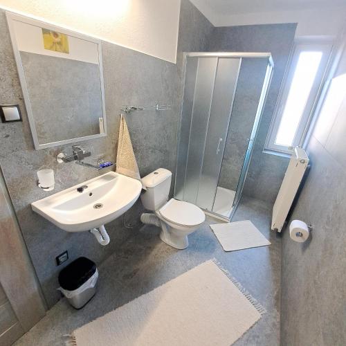 a bathroom with a sink and a toilet and a shower at Privát Nataša in Nová Lesná