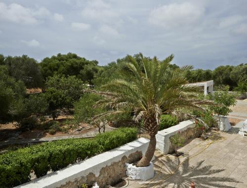a palm tree sitting next to a stone wall at Turismo Rural Biniati des Pi in Sant Lluis