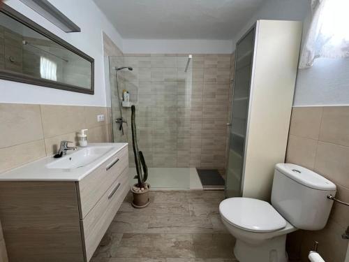 a bathroom with a toilet and a sink and a shower at Loft en zona rural de Lanzarote in Conil