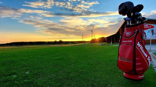 a dog is sitting in a bag on a field at Grimm´s Berlin Potsdam in Teltow