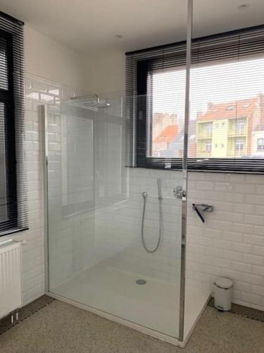 a shower with a glass door in a bathroom at Huis Agnes in Ostend
