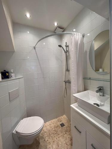 une salle de bain avec une douche, des toilettes et un lavabo dans l'établissement 4DEMO2 Appartement vue mer, à Collioure