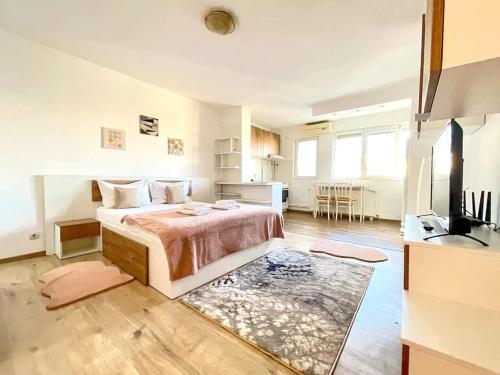 National Arena Studio 2