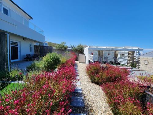 un jardín con flores rosas junto a una casa en Anchor's Rest, en Yzerfontein