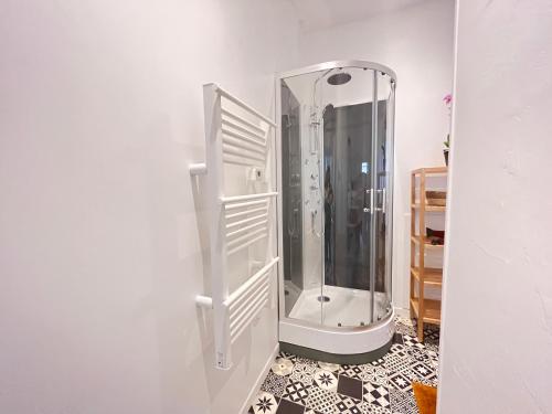 y baño con ducha y espejo. en Le Vichatel - Charmant T3 en centre ville proche de place Gaillard, en Clermont-Ferrand