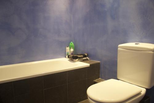 a bathroom with a white toilet and a bath tub at Apartamento Walden in San Justo Desvern