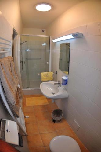 a bathroom with a sink and a shower and a toilet at Kis-Balatoni Ökoporta in Zalaszabar