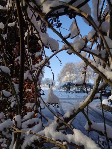 a snow covered tree branch with snow on it at La Métairie Hôtel-Restaurant in Trois-Ponts