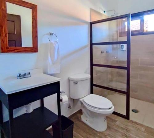 e bagno con servizi igienici, lavandino e doccia. di Hotel Casa Francisca Mazamitla. a Mazamitla