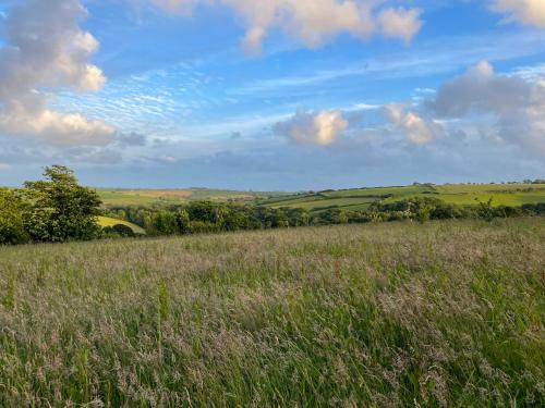 Galería fotográfica de Private and peaceful stay in a Luxury Shepherds Hut near Truro en Truro