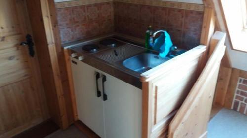 a small kitchen with a sink in a tiny house at Haan-Ferienwohnung in Haan