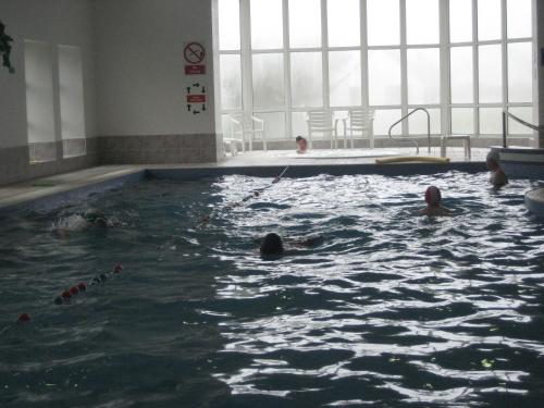 a group of people swimming in a swimming pool at The Stone House B&B in Baltimore