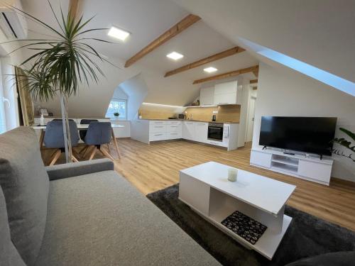 Apartmán Světla