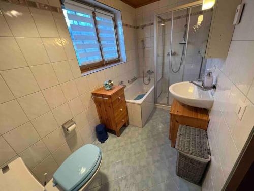 a bathroom with a toilet and a sink and a shower at Résidence « la Forêt » in Les Mosses