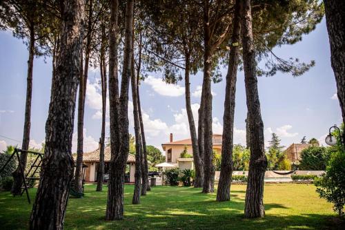 Gallery image of Villa Laoconte piscina, jacuzzi e biliardo in Canicattì
