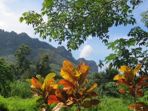 a view of the mountains from the jungle at Manora Garden in Phangnga