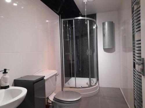 y baño con ducha, aseo y lavamanos. en Coastal Millennium Apartment, en Llanelli