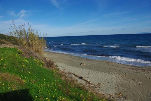 Résidence A NUCIOLA Les pieds dans l'eau Cervione Hte CORSE