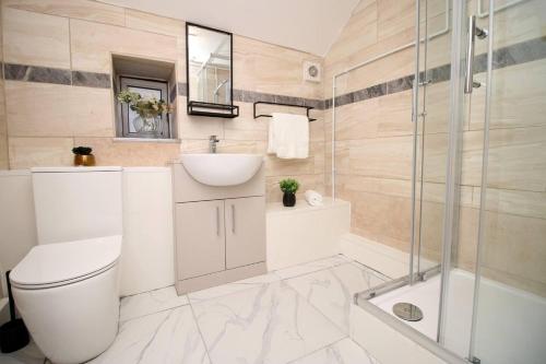 y baño con aseo, lavabo y ducha. en Stunning 4 Bedroom Flat near City Centre en Swansea