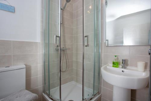 a bathroom with a shower and a toilet and a sink at Fox Cottage in Sidbury