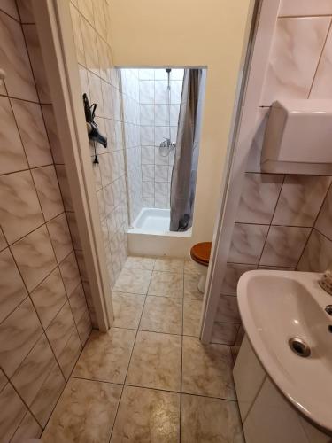 een badkamer met een douche en een wastafel bij Fantastic - J7 Room E in Warschau