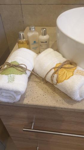 dos toallas sentadas en un mostrador junto a un fregadero en Villa Delice, privée et luxueuse, en Rivière Noire