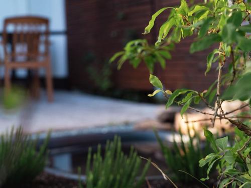 einen Stuhl neben einem Pool im Garten in der Unterkunft Apartmenthaus Schöne Aussicht in Bräunlingen