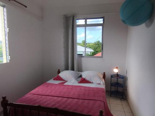 a bedroom with a bed with a window at Chez Janou (sci sijimad) in Sainte-Anne