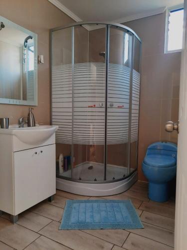 a bathroom with a shower and a toilet and a sink at Cabaña Mi calma in Coquimbo