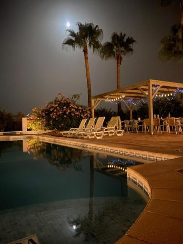 a swimming pool with chairs and palm trees at night at The Lemon Tree Villa in Moncarapacho