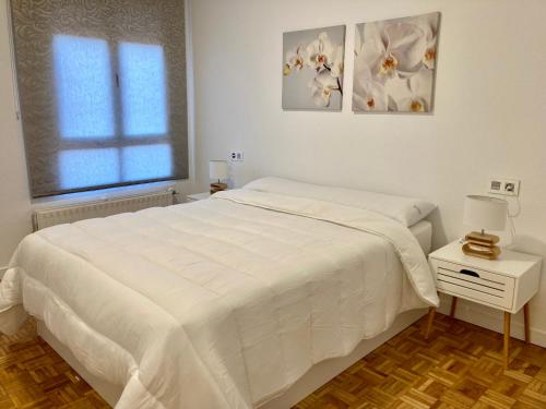 Angliru 1 Suite في Castandiello: غرفة نوم بيضاء مع سرير أبيض ونافذة