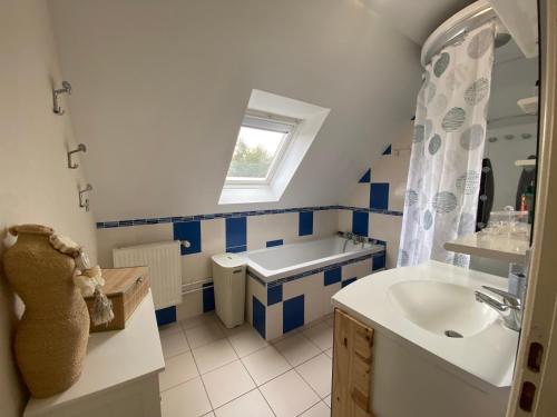 ein blau-weißes Bad mit einem Waschbecken und einem Spiegel in der Unterkunft Soleil d'Opale et son grand jardin in Wimereux