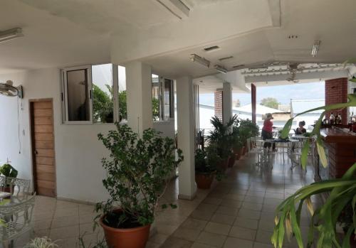 a room with potted plants and people sitting at tables at Casa Amigos de Barcelo Appartement 1 in Cienfuegos