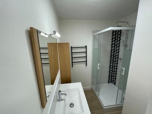y baño con lavabo, ducha y espejo. en Urban flat au cœur de Lorient, en Lorient