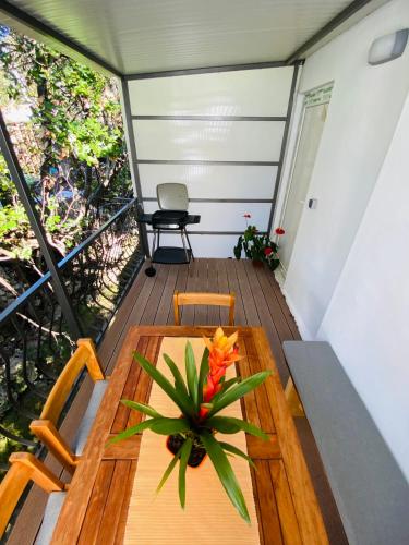 a wooden table with a plant on a deck at Apartments Tabain in Mlini