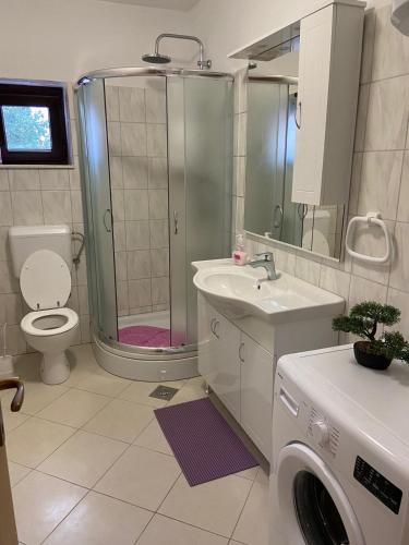 a bathroom with a shower and a sink and a washing machine at Apartman Nina in Posedarje