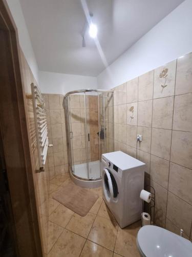 Vonios kambarys apgyvendinimo įstaigoje Apartament Szczęśliwa Trzynastka Suwałki